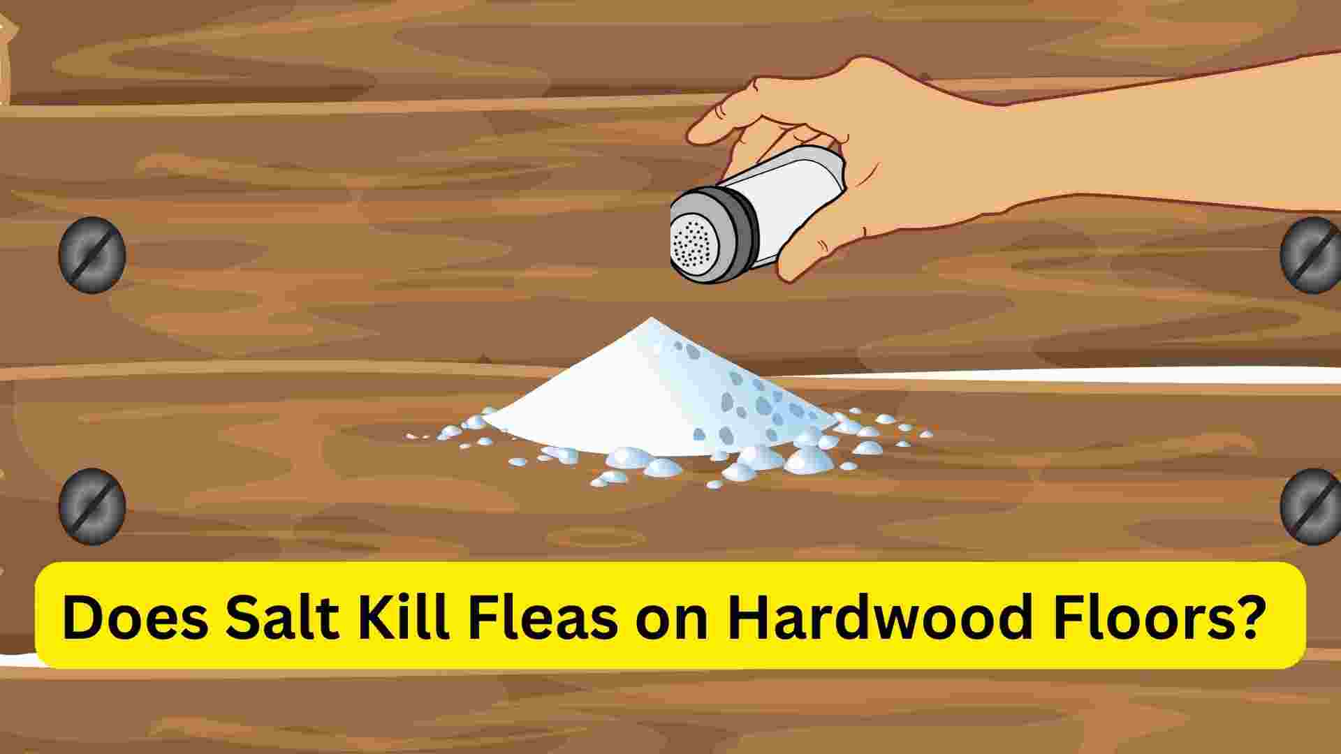 Does Salt Kill Fleas on Hardwood Floors