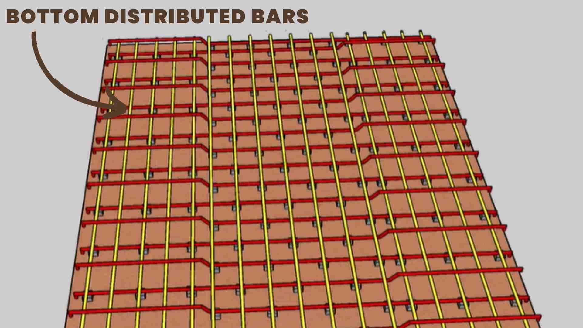 Bottom Distributed Bars